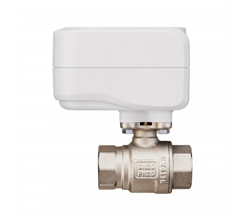 Кран с электроприводом Neptun Standard 230В 1/2