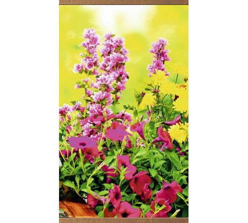 Пленочный инфракрасный обогреватель Домашний очаг Цветы 500Вт