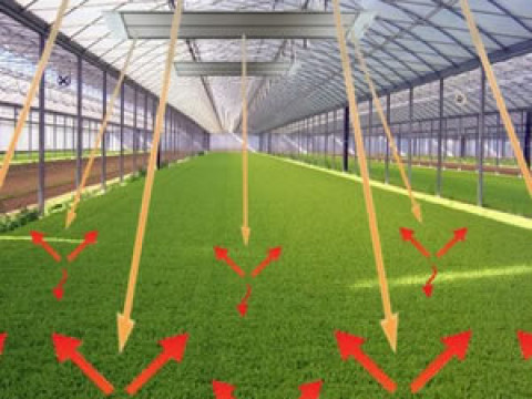 Обогрев теплиц компенсирует нехватку солнечного тепла вашим растениям
