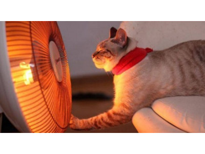 Инфракрасный обогрев: тепло не только людям