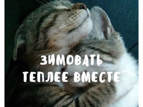 Пришла зима!