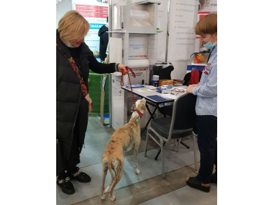 Юбилейная международная выставка «Строим Дом» в Санкт-Петербурге