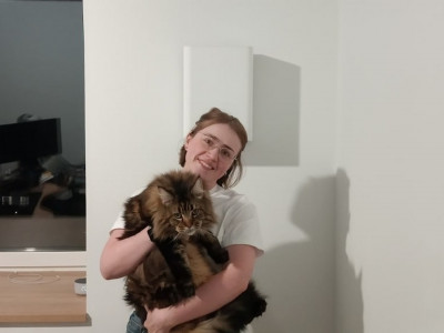 Монтаж приточной установки Ballu One Air ASP 100 для Глеба, Марии и их мэйн-куна