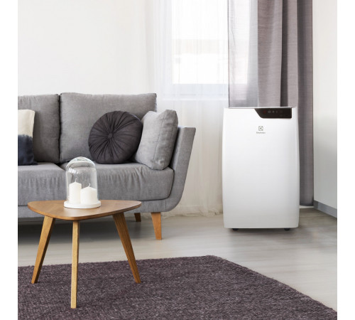 Мобильный кондиционер Electrolux EACM-09 GT/N6