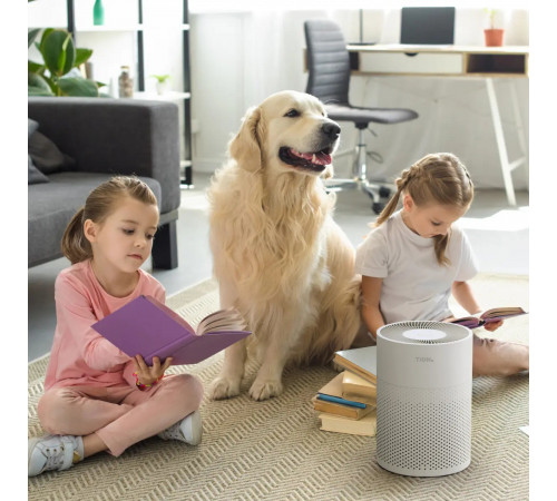 Умный очиститель-обеззараживатель серии TION IQ 200